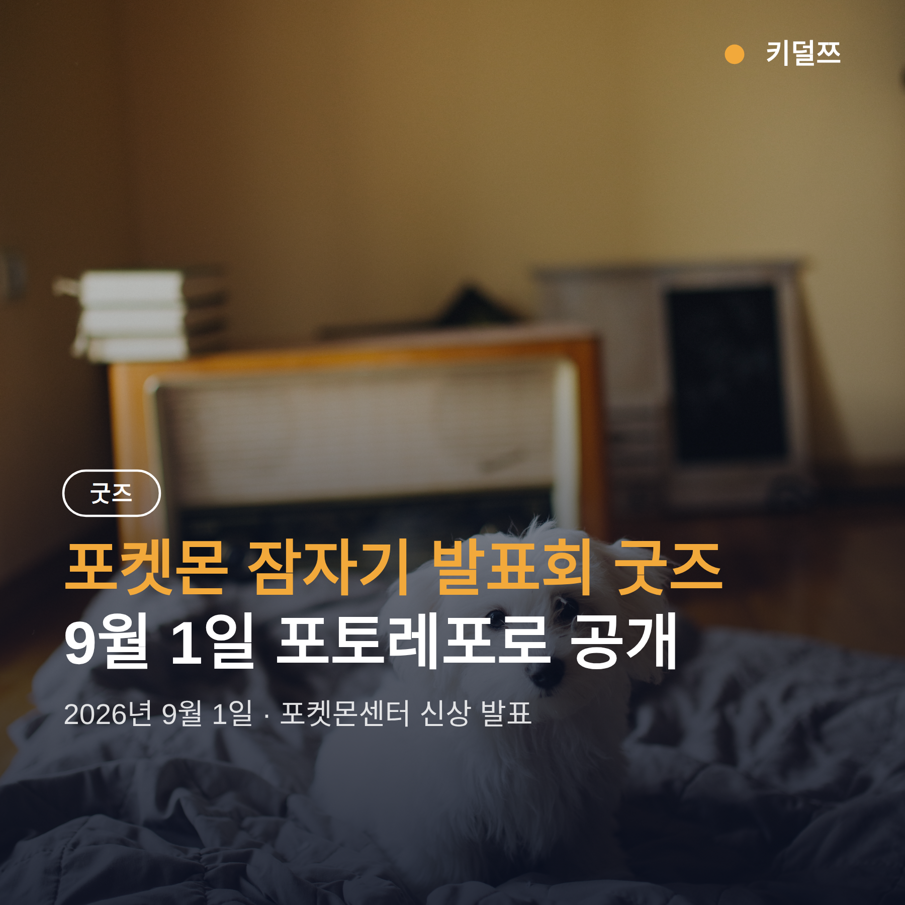 포켓몬 잠자기 발표회 굿즈 9월 1일 공개 — 룸웨어부터 제라피케까지 라인업 총정리