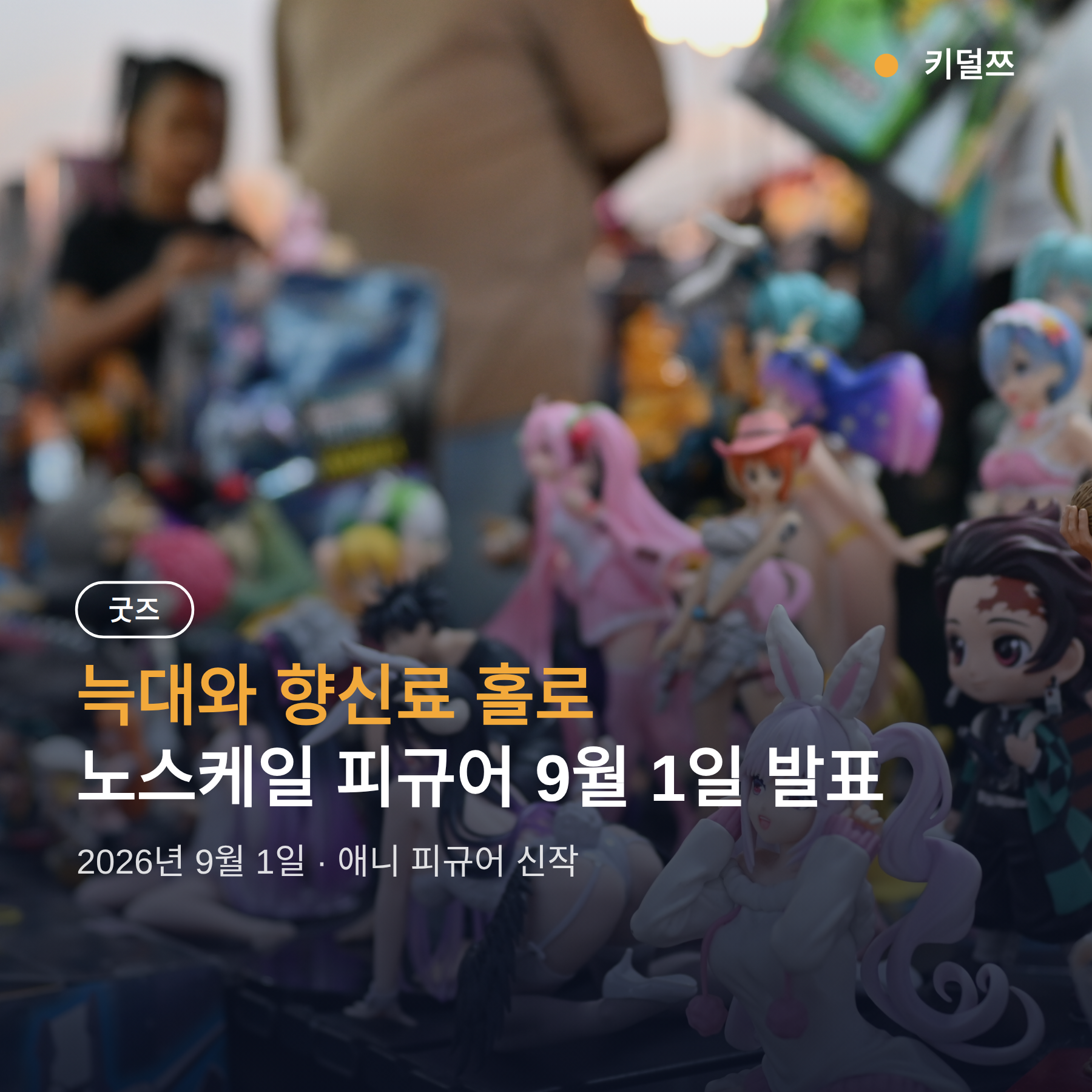 홀로 피규어 노스케일 신작 발표, 정가 선예약 전에 볼 기준