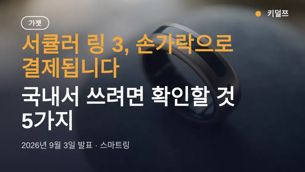 서큘러 링 3 스마트링 NFC 결제, 국내서 쓰려면 확인할 것 5가지