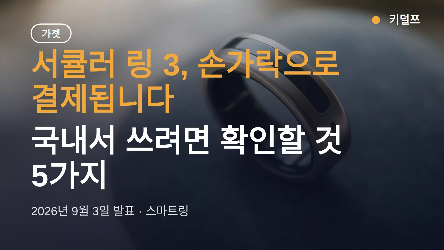 서큘러 링 3 스마트링 NFC 결제, 국내서 쓰려면 확인할 것 5가지