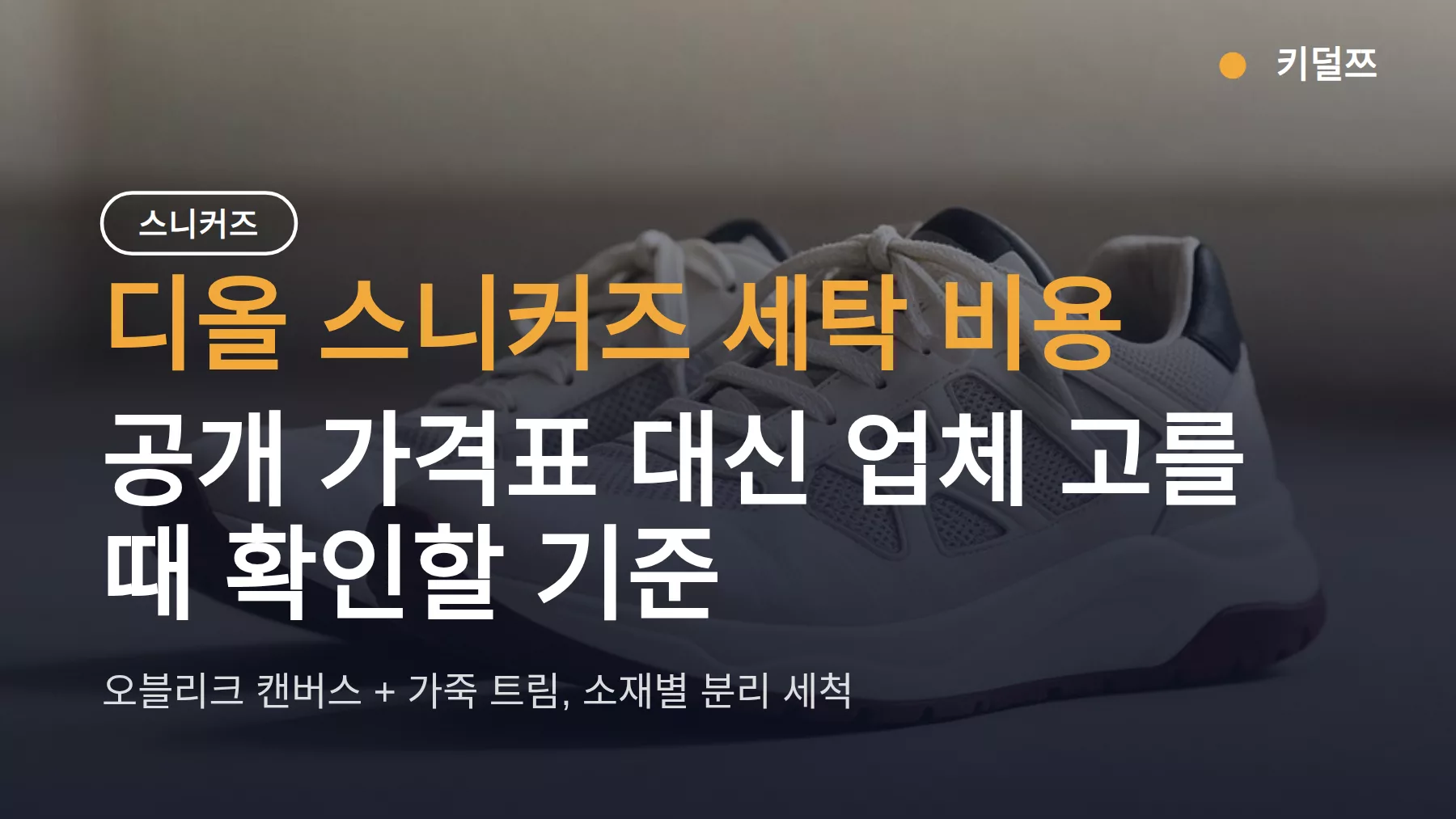 디올 스니커즈 세탁 맡기면 얼마? 가격표 대신 확인할 기준