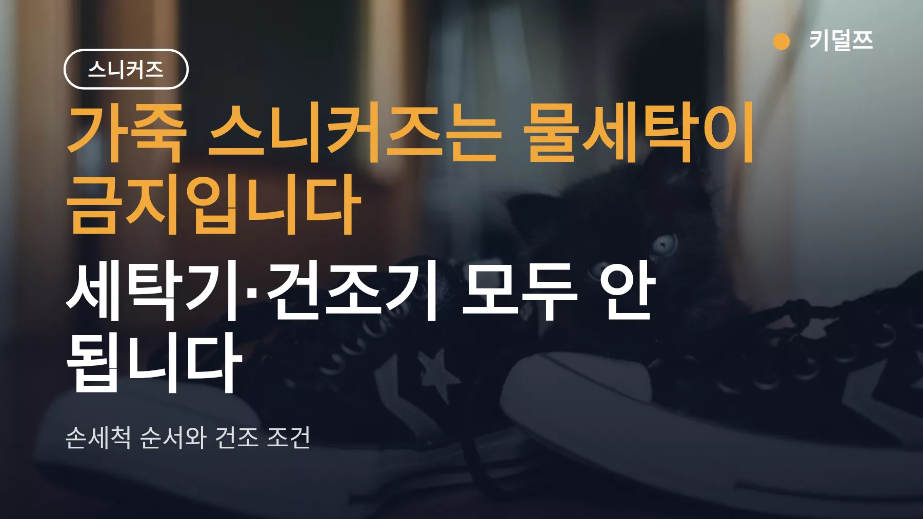 가죽 스니커즈 세탁, 물세탁은 금지 — 손세척 순서와 건조 조건