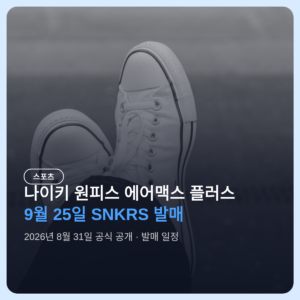 나이키 원피스 에어맥스 플러스, 9/25 SNKRS 발매 전 정리